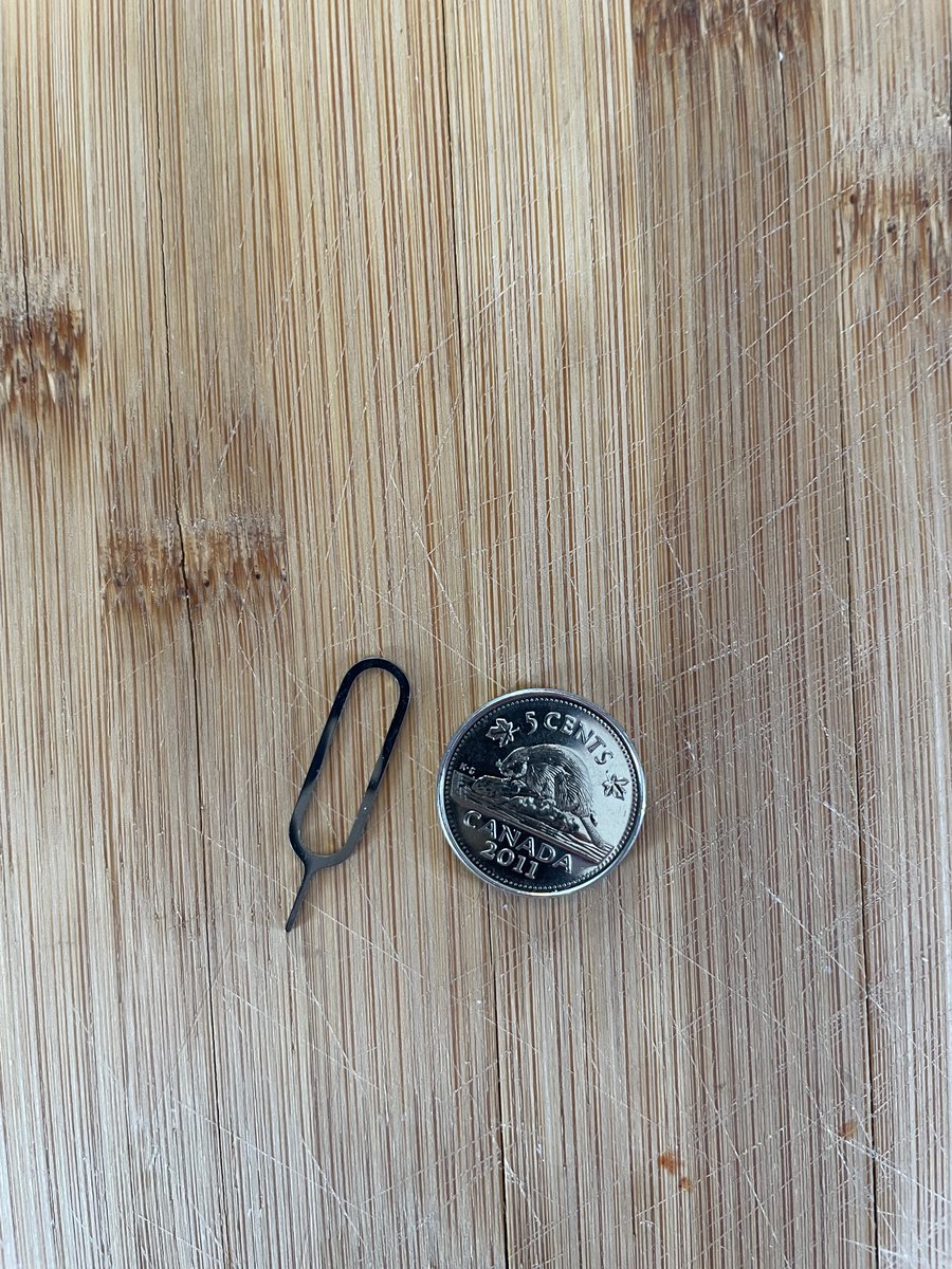 AneThrope's tweet photo. Wtf is this & can I throw it out ?
Anybody know?
#SpringCleaning #WeirdObjects https://t.co/YBjF9C83nu