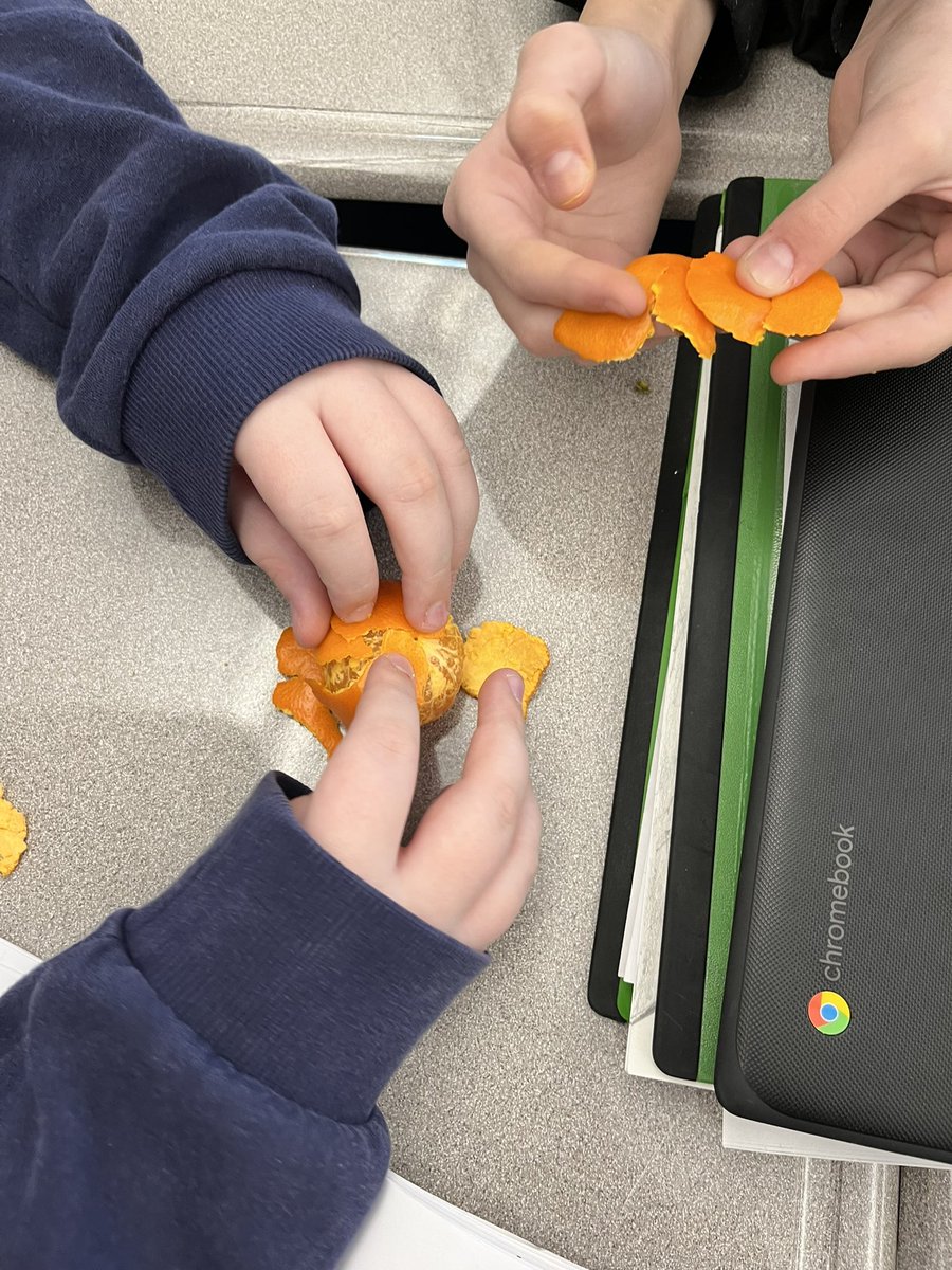 Modeling plate tectonics and Pangaea
#science <a href="/NHSMIDDLESCHOOL/">New Hope-Solebury Middle School</a> 🌎🌏🌍