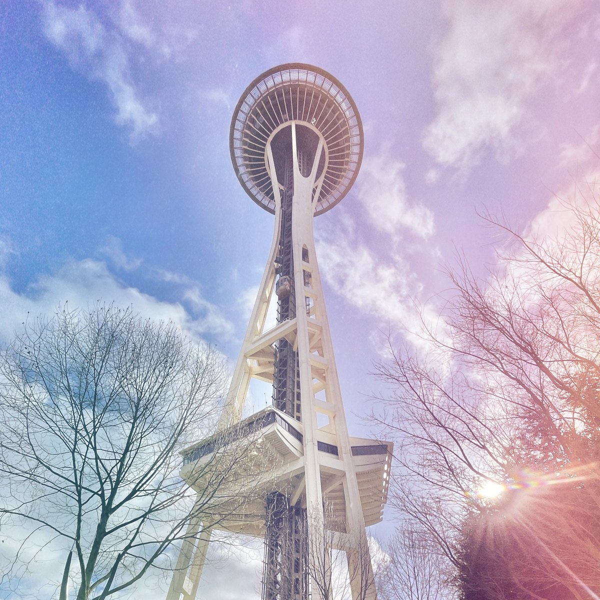 tfoiles's tweet photo. cycling seattle // starting to light up that heat map on #strava https://t.co/GpKRLcUvZm