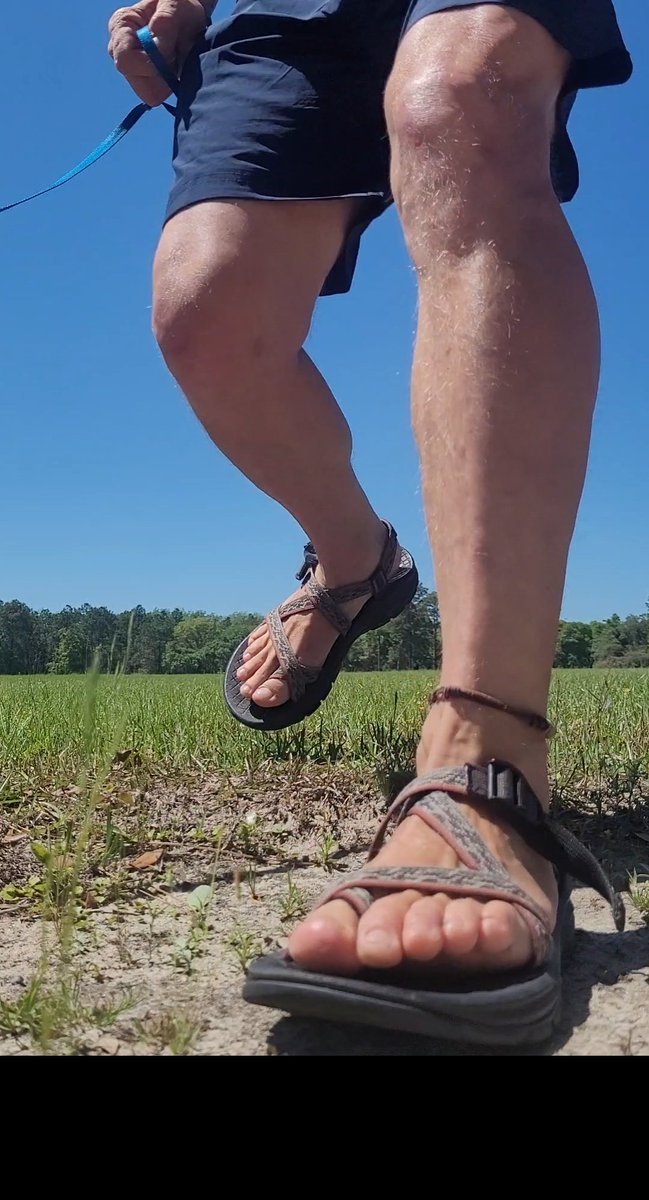 Cap77567's tweet photo. A Chaco kind of day!
@chacousa #chaconation #outdoors #explore #wildlife #GetOutside #Chaco #chacotan #Poshmark #outside https://t.co/Ee7LXr4ovb