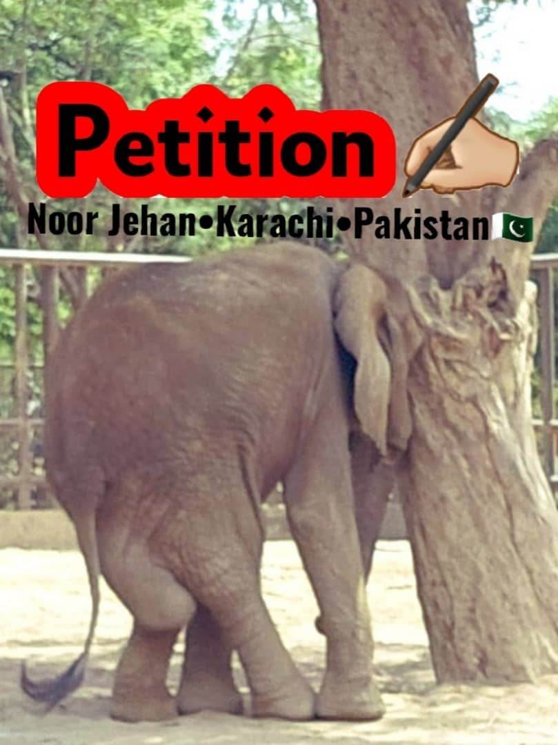 Please sign & share both petitions to help end the #AgonyofNoorJehan at #KarachiZoo thepetitionsite.com/992/066/246/a-… thepetitionsite.com/975/299/513/st…