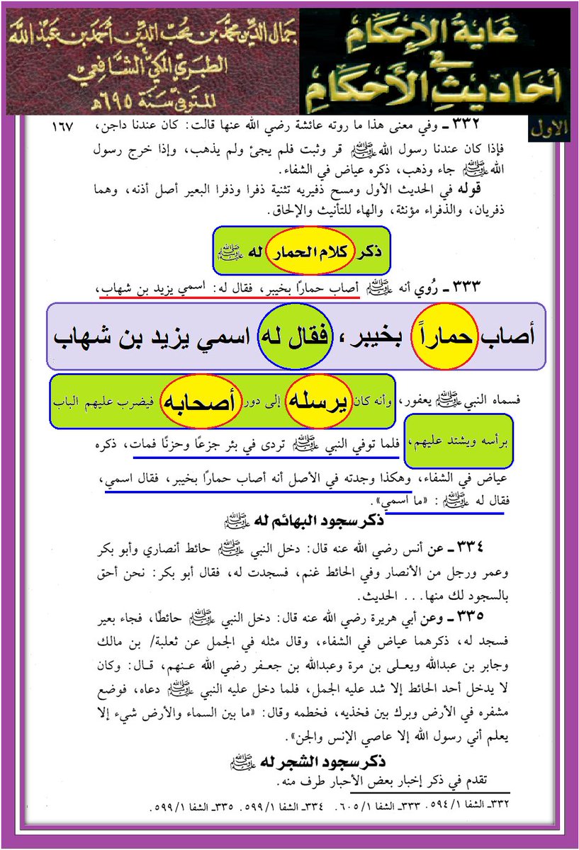 وأنت خليفتي في كل مؤمن بعدي tweet media