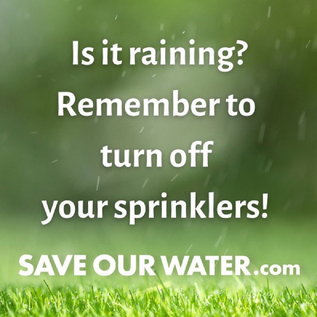 sdcwa's tweet photo. ☔️ Rain on, sprinklers off! 💧
#WaterSmartSD #cawater #SaveOurWater
#Rebates💧San Diego County Embraces WaterSmart Living: https://t.co/1LnJNWI4Ow
#CAwx https://t.co/8Gllk9SfUF