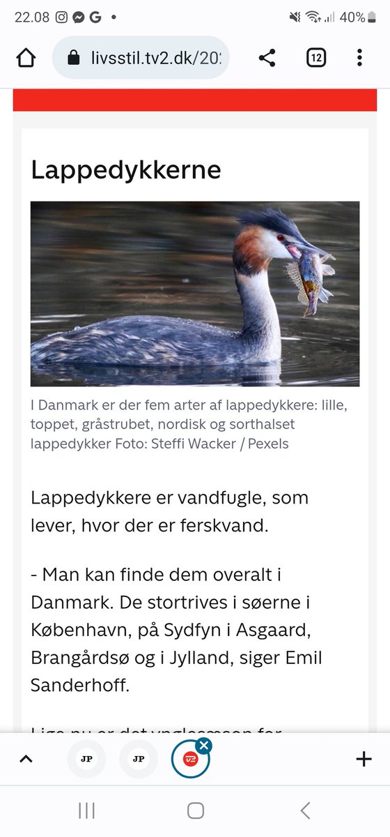 MortenDDHansen's tweet photo. Søde rare @tv2danmark - han sagde Arreskov Sø, ikke #Asgaard. Og Brændegård, nu vi er i gang 😘
https://t.co/yMeHO96uIq
#Assguardians https://t.co/Sq3MASbGlk
