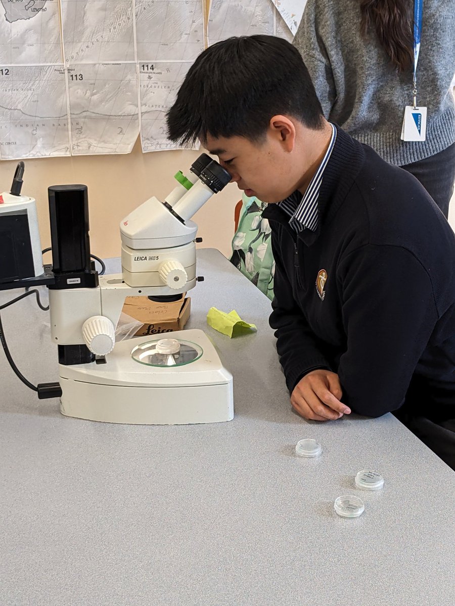 Sarah Gallah tweet media