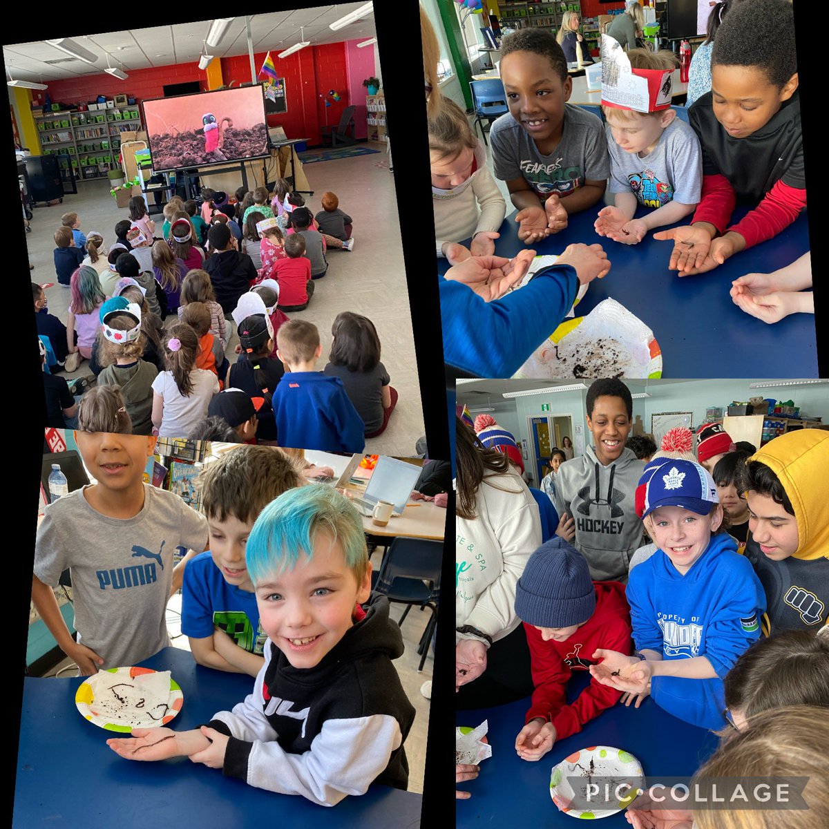 RyanFoleyNLESD's tweet photo. Thank you to @AITCNL Our students here @StTeresasSchoo1 were “squirming” with excitement!! They loved the worms. @NLESDCA https://t.co/grKx7iHHEA