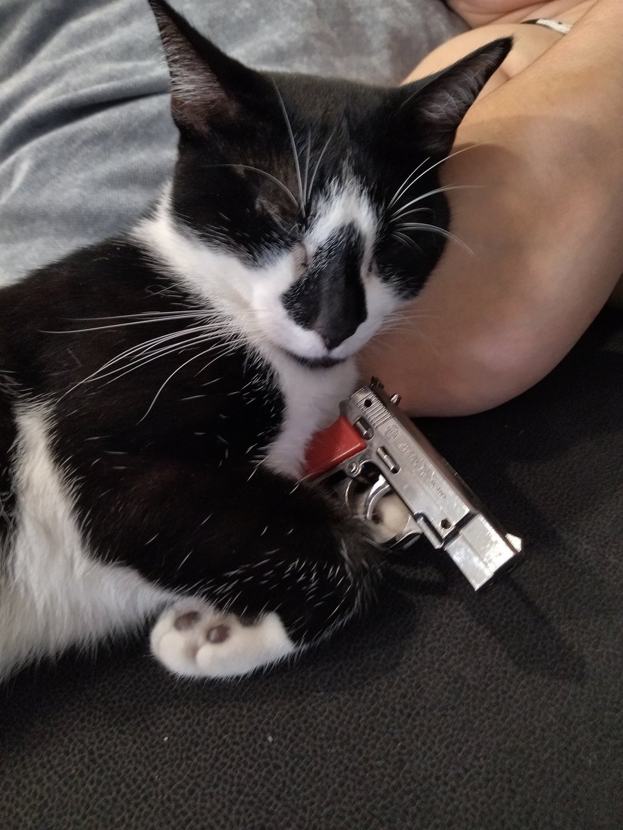 BaraOkami's tweet photo. @ShouldHaveCat I dont know if I should Wake him up... https://t.co/p9plB43EOb