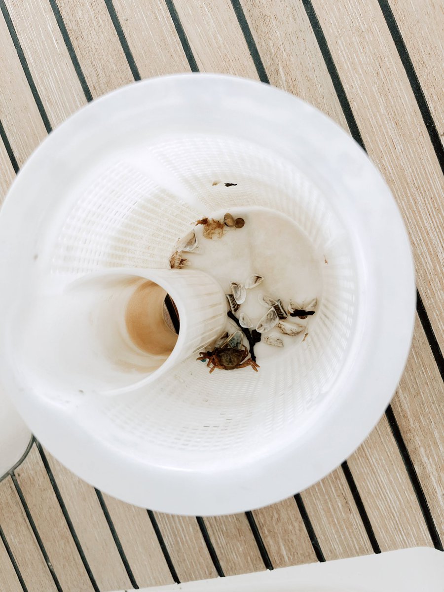 procaptstaffing's tweet photo. 🦀 How often do you check your strainer? If you can’t remember, it may be time to give it a look! 🦀 Checking &amp; cleaning strainers periodically is very important. If you’re a member of our total boat management program, we clean your strainers monthly. Check out what we found! https://t.co/yNzfd2mF5y