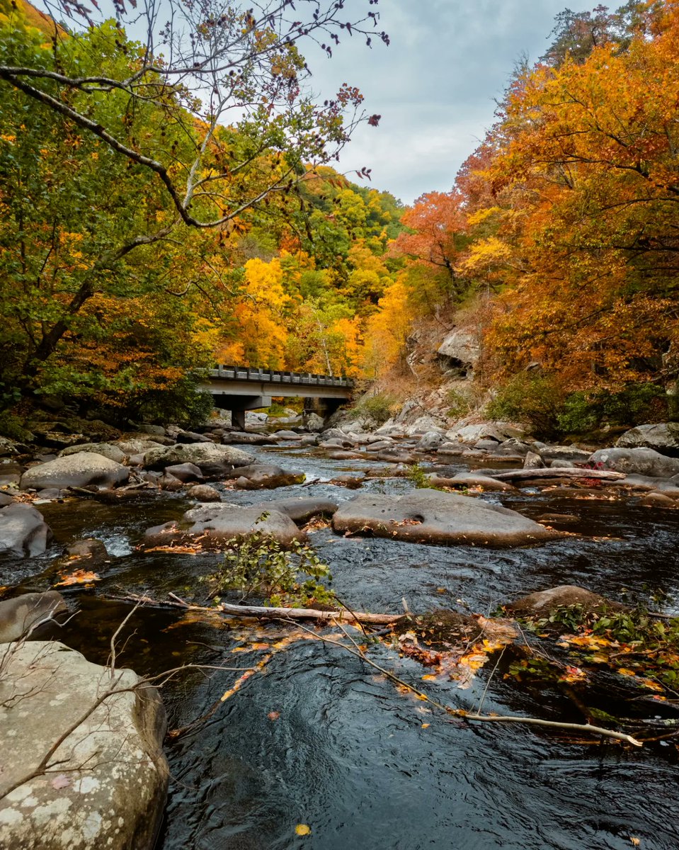 from_2hi_to_4lo's tweet photo. Needed some warmth (meteorologically and aesthetically speaking) in my feed. Summer is good, depending on where you are, but fall is my fave. Who's still stuck in winter?
#throwbackthursday #exploretheoutdoors #adventureenthusiasts #jeepjl #jeeplifestyle #jeepwrangler #smokies https://t.co/TISXYXDKHR