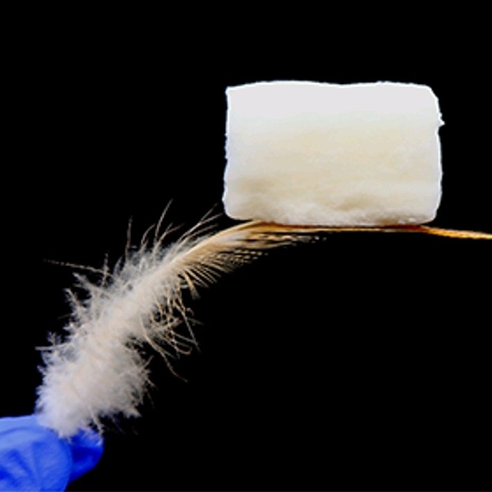 Nicole Grobert tweet media