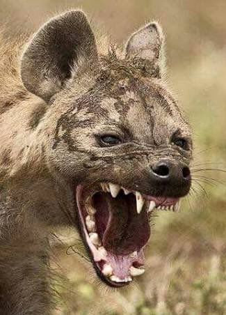 Cde Comrade tweet media