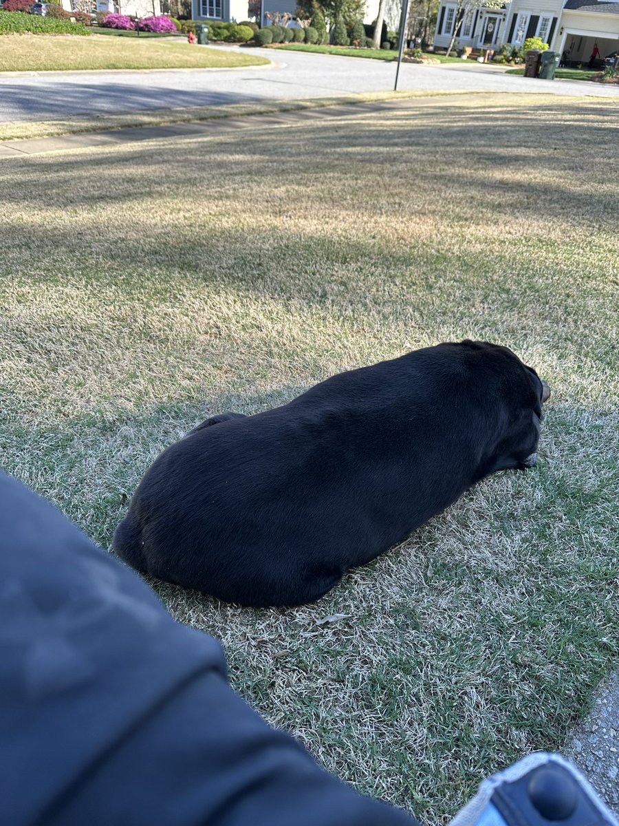 Tommy Ashley tweet media