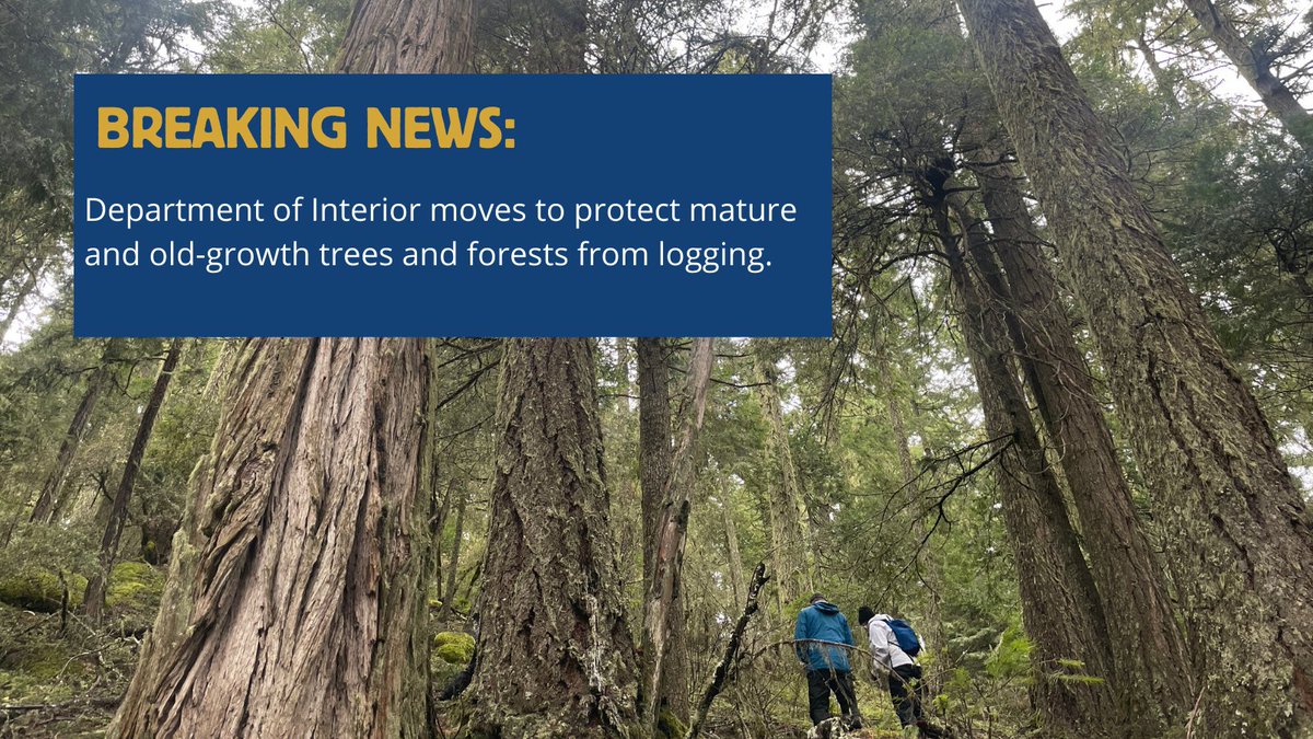 @oregonwild.bsky.social tweet media