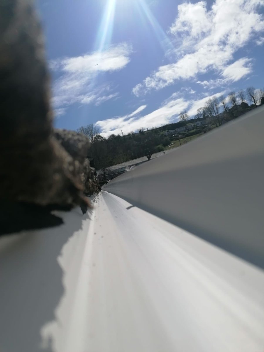 GutterNi's tweet photo. Another set of old and failing gutters made good giving the roofline a nice finish not to mention functioning gutters again. Another great  job by all involved 👌 #BelfastHour https://t.co/SFIOmIZyXI