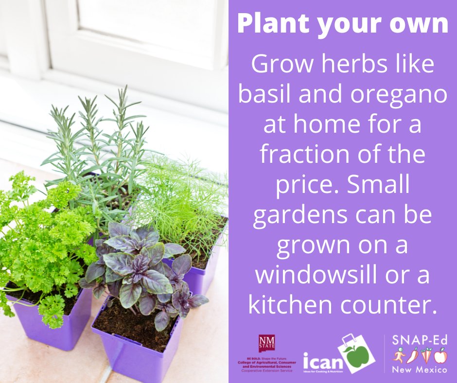 Plant your own. Grow herbs like basil and oregano at home for a fraction of the price. Small gardens can be grown on a windowsill or a kitchen counter. #NMSUICAN #MyPlate