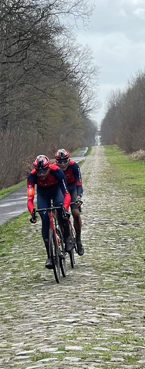 Michael Tarling tweet media