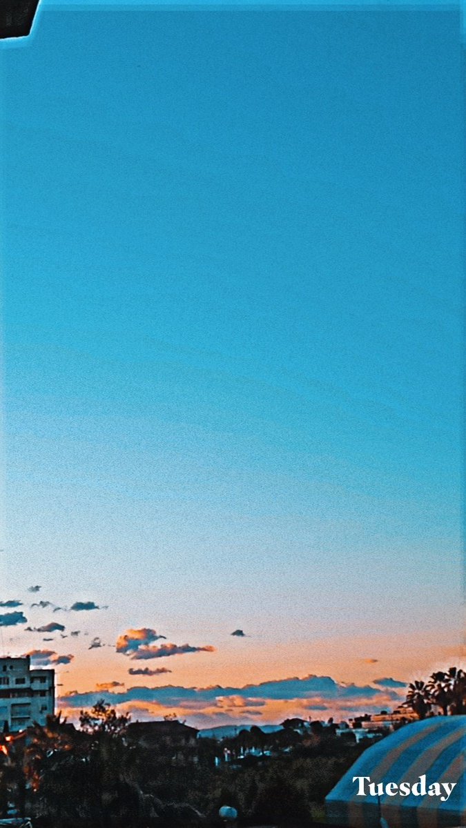 eyobicizz's tweet photo. March 🌺✨ https://t.co/2z8qCLEQGS
