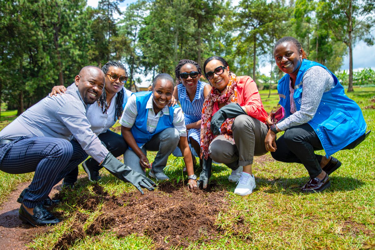VisitKirehe's tweet photo. #GreenKirehe. Protect our planet by planting trees... How Kirehe citizens should contribute to these adaptions? #Plant_tree. #VISITKIREHE🌳
#ActionAgainstClimateChange

@FAORwanda @UNRwanda @rangira @RDBrwanda @NzirabatinyaMo4 @InovoTec @harerimana_tito @REMA_Rwanda @Annemwiza https://t.co/rczlpDGbq1
