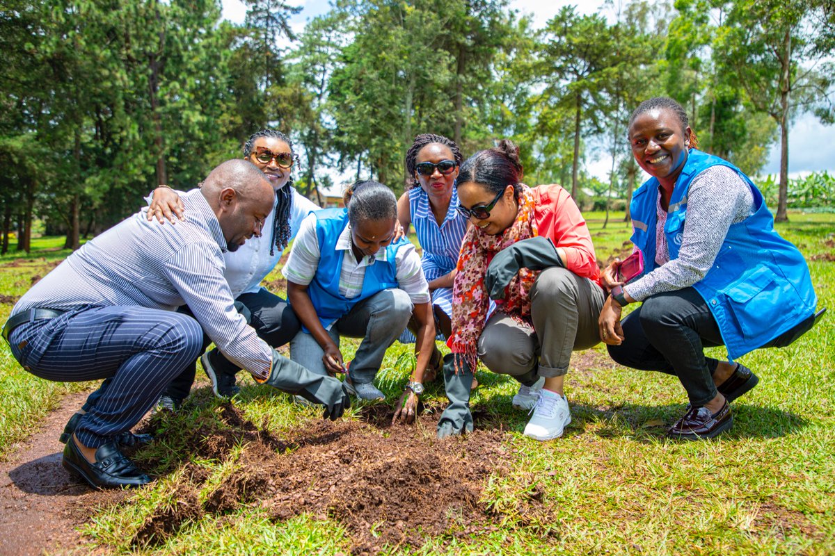 VisitKirehe's tweet photo. #GreenKirehe. Protect our planet by planting trees... How Kirehe citizens should contribute to these adaptions? #Plant_tree. #VISITKIREHE🌳
#ActionAgainstClimateChange

@FAORwanda @UNRwanda @rangira @RDBrwanda @NzirabatinyaMo4 @InovoTec @harerimana_tito @REMA_Rwanda @Annemwiza https://t.co/rczlpDGbq1