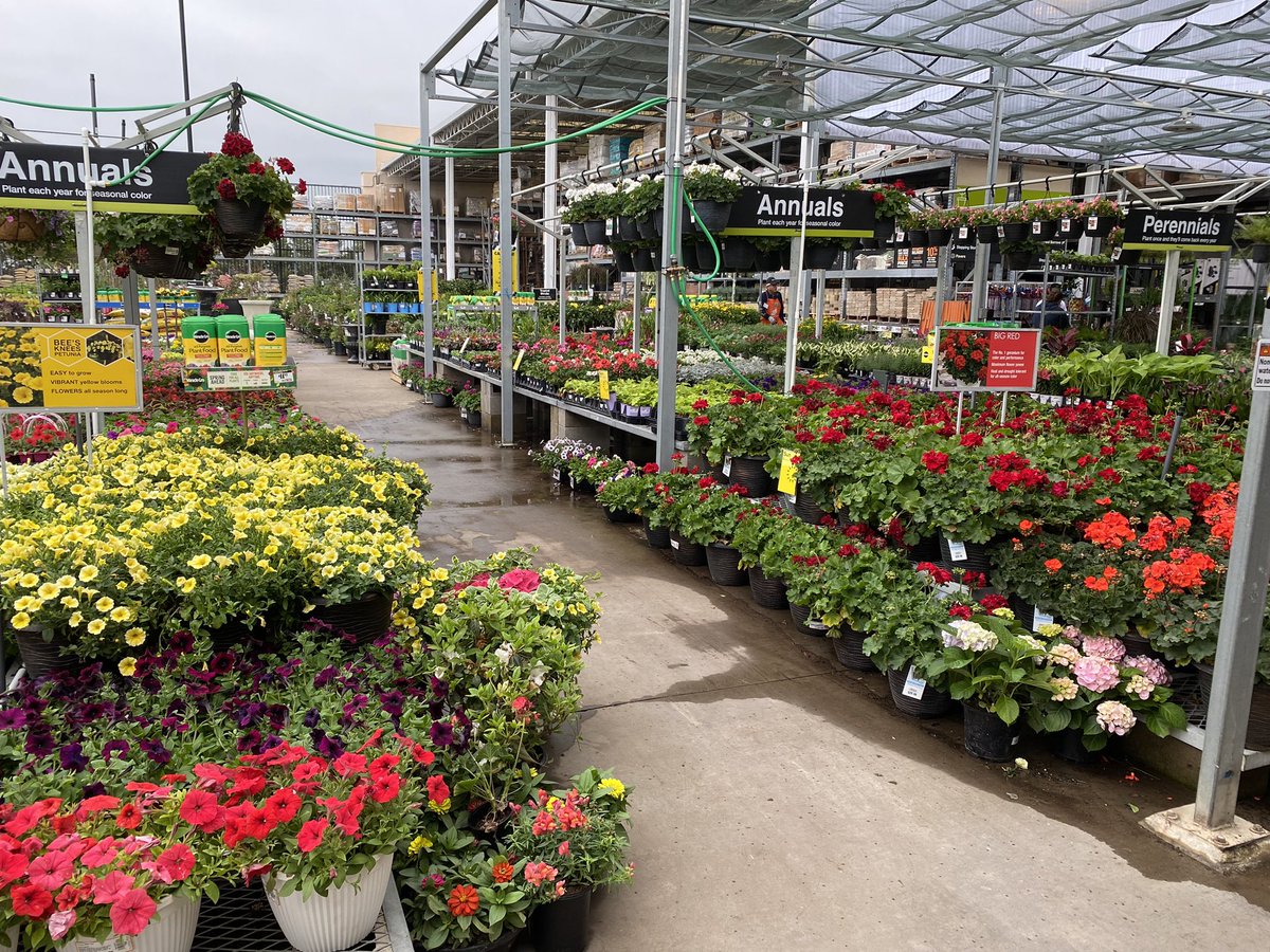 Sally Maurice tweet media