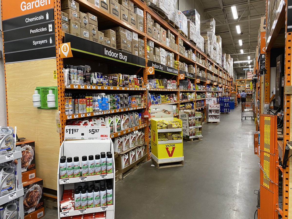 Sally Maurice tweet media