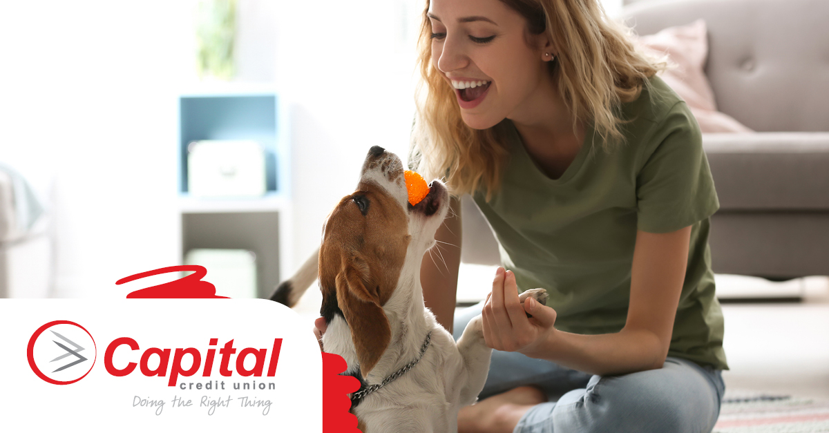 From building equity, to having a place to make your own, or even finding space to bond with your furry friends, there are plenty of reasons we desire to buy a home. You may value being close to a park or avoiding an HOA...

Read more: capitalcu.com/article/buying…