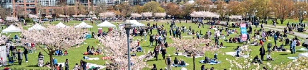 Join us at the Vancouver Cherry Blossom Festival: The Big Picnic at David Lam Park on April 1!  Come enjoy this wonderful celebration of spring and the beautiful cherry blossoms. #VanCherryBlossomFest #community #volunteer #Vancouver @vancherryblossomfest