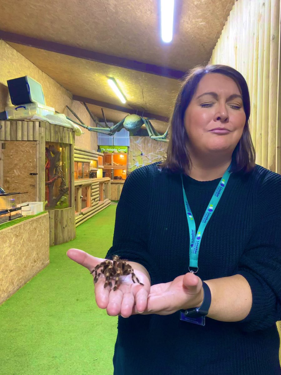 _MissWilcox's tweet photo. When you realise youโre the teacher so you have to show your class that the big hairy scary spider is not going to hurt them! ๐ฑ Full on fear, pride, adrenaline and horror in one! ๐ท๐ Peer pressure from 5 year olds is brutal! #EYFS #windmillfarm https://t.co/VfsqlQL5GK