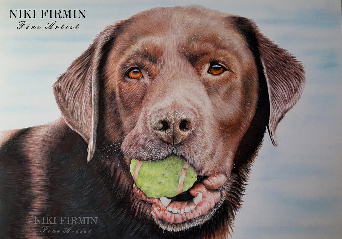 NikiFirmin's tweet photo. I have a secret portrait on the drawing board at the moment so here is another beautiful furbaby from the archives, #choclab Henry 🥰💕🐕‍🦺🐾 
@LabradorWelfare
#petportraitartist  #petportraitcommission #art #artist #artwork https://t.co/vqXABu52Bc