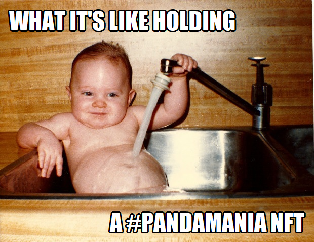 A_T_O_M_NFT's tweet photo. @PandaMania_NFT @konquest4rmd3 @tinkeryaz49 @stpcrypto
#MadeLife #PandaMania https://t.co/OOIwPmoBY6