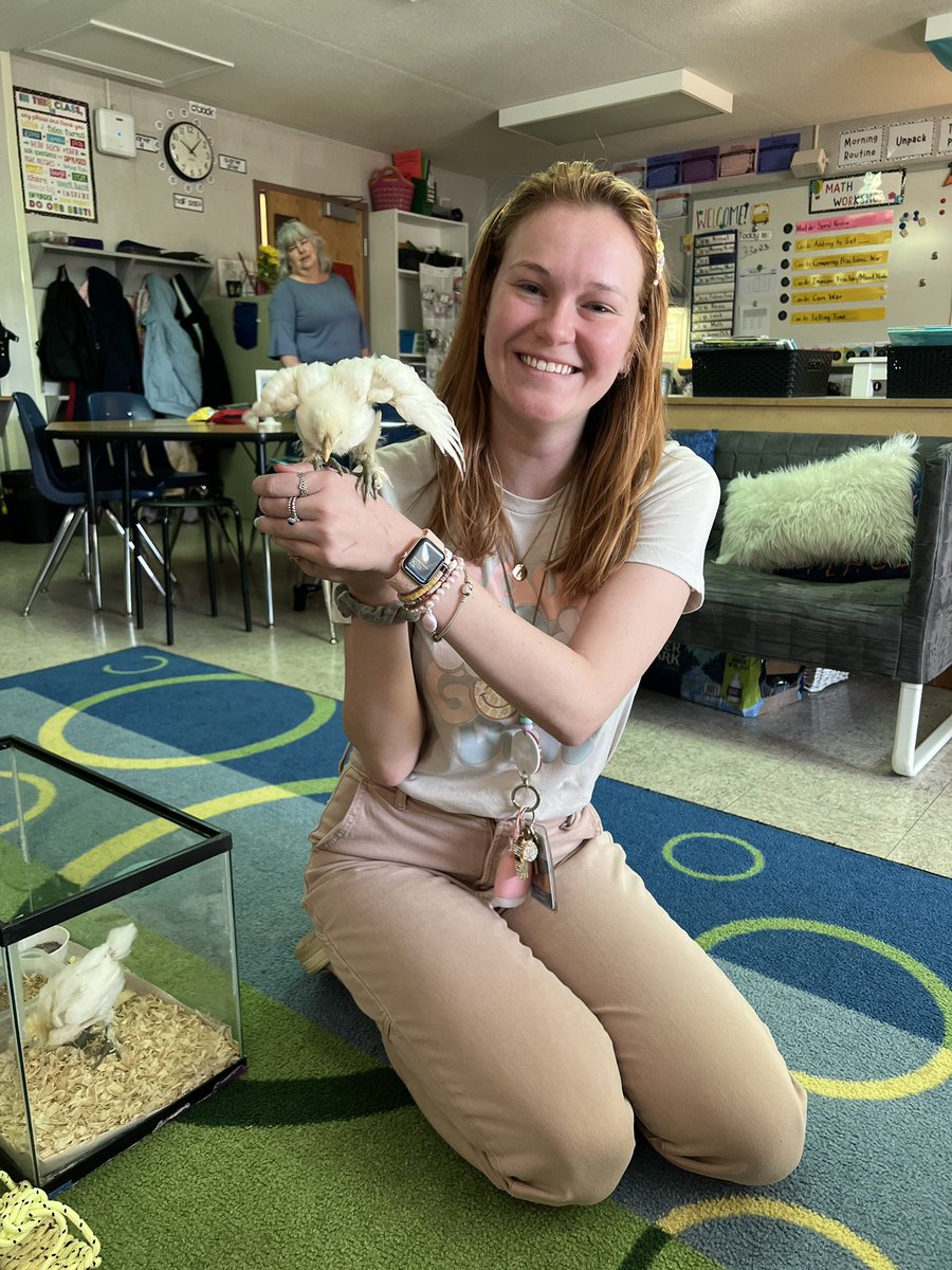 Falcon_Clement1's tweet photo. Thanks @Falcon_MrsBPreK for stopping by and letting us play with the baby chicks! Definitely the highlight of our day 🐥💚 https://t.co/GQ8IbGuDuH