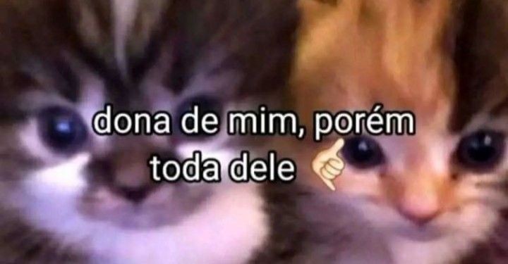 memeparaoarroba's tweet photo. https://t.co/zw1c1qykCk