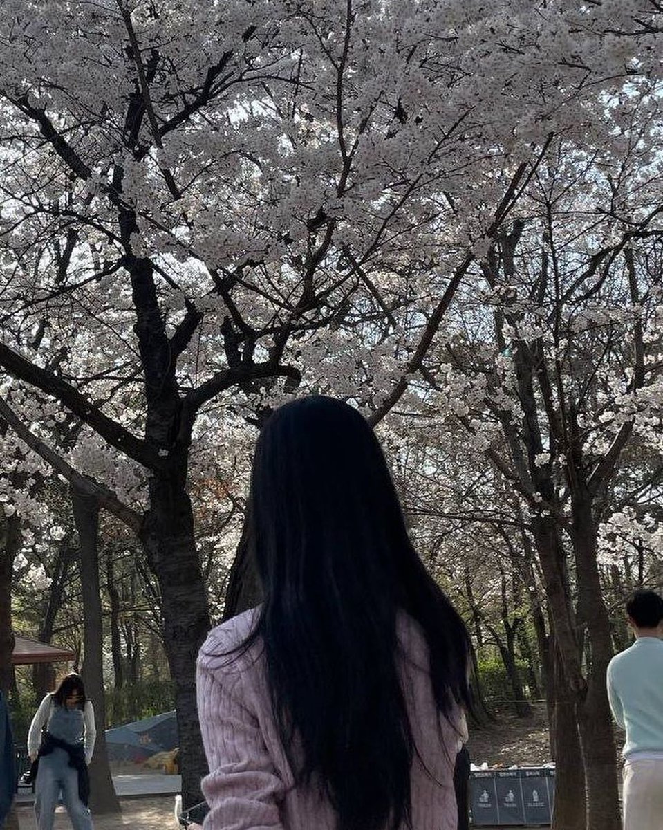 H2H_NEWS's tweet photo. [TRANS] 230330 sment_training IG update with Female Trainees

[🍞] Cherry Blossom in Seoul Forest!!

The sun was warm and the wind was cool, so it felt good~^^
#SMTR
#RookiesDevelopment #TrainingUnit
📎https://t.co/LCQfYoJDzR
#smtrainee #SM연습생 https://t.co/k8J0bJuHjB