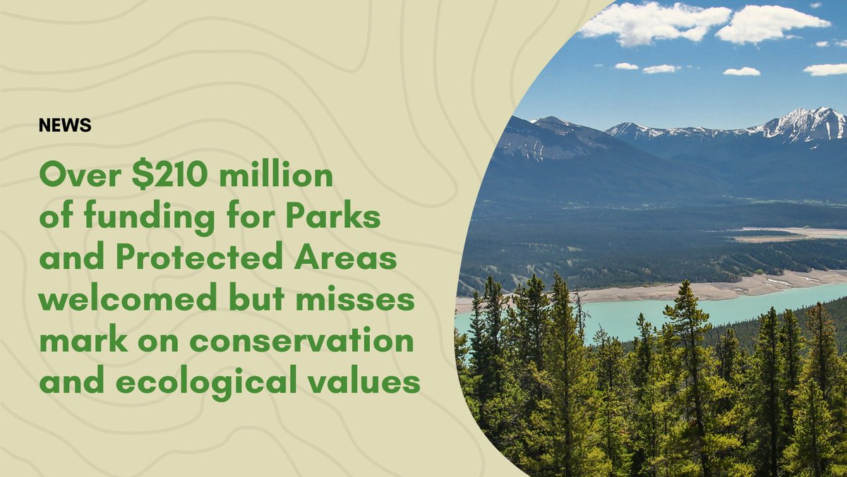 CPAWSNAB's tweet photo. While we and @cpawssab are hoping over $210 million signals a renewed priority for Alberta's parks, where that funding is allocated seemingly overlooks aspects of conservation and ecological integrity #DefendABParks #ableg 

read more: https://t.co/ma4QFT1G6O https://t.co/gD6l667o7n