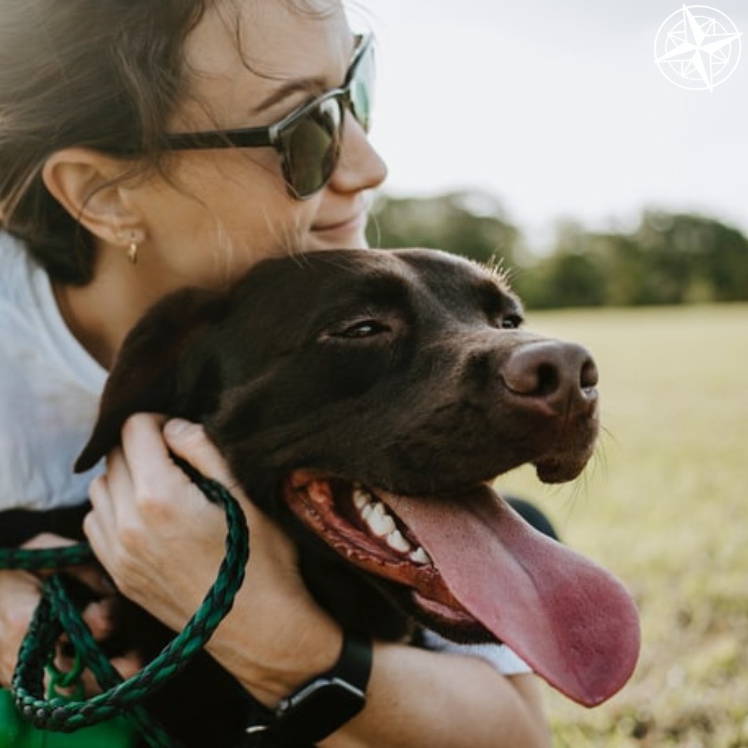 Poison Prevention Month is for pets too! Learn how to protect your pet using the following link. 
americanhumane.org/fact-sheet/pet…
