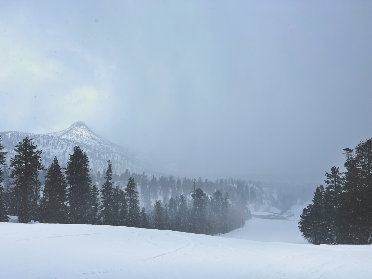 LeeCanyonLV's tweet image. What spring? ... 260" and counting.  #recordsnowfall.  Gonna be a beautiful weekend on the slopes.