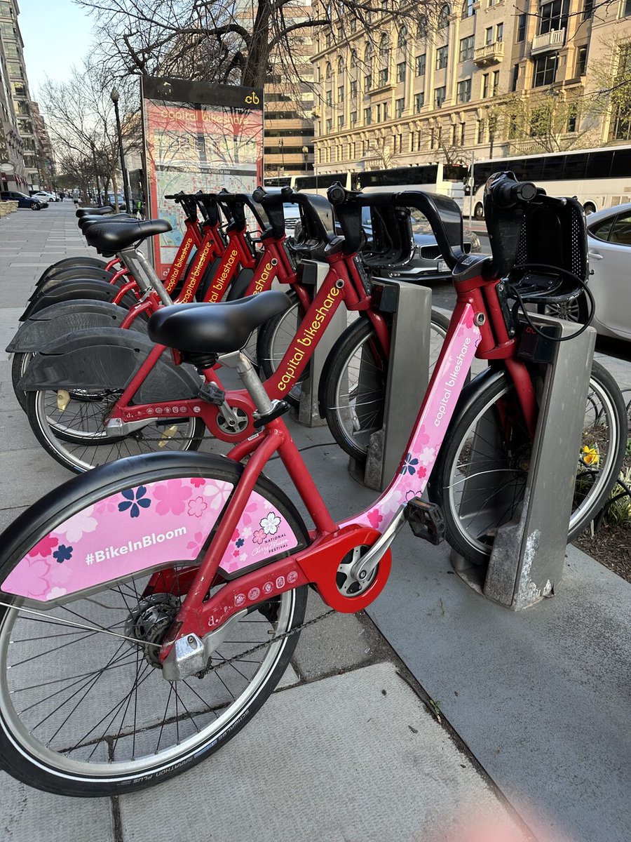 CherryBlossFest's tweet photo. It’s a sure sign that our city is in bloom when #BikeInBloom is back! Our friends at @bikeshare have their #BlossomBikes back in action. Tag us if you spot one!🌸
See other businesses that form part of #CityInBloom ⤵️
https://t.co/wVdMQPc931
#CherryBlossFest #SpringItOn https://t.co/M4upbuuGUi