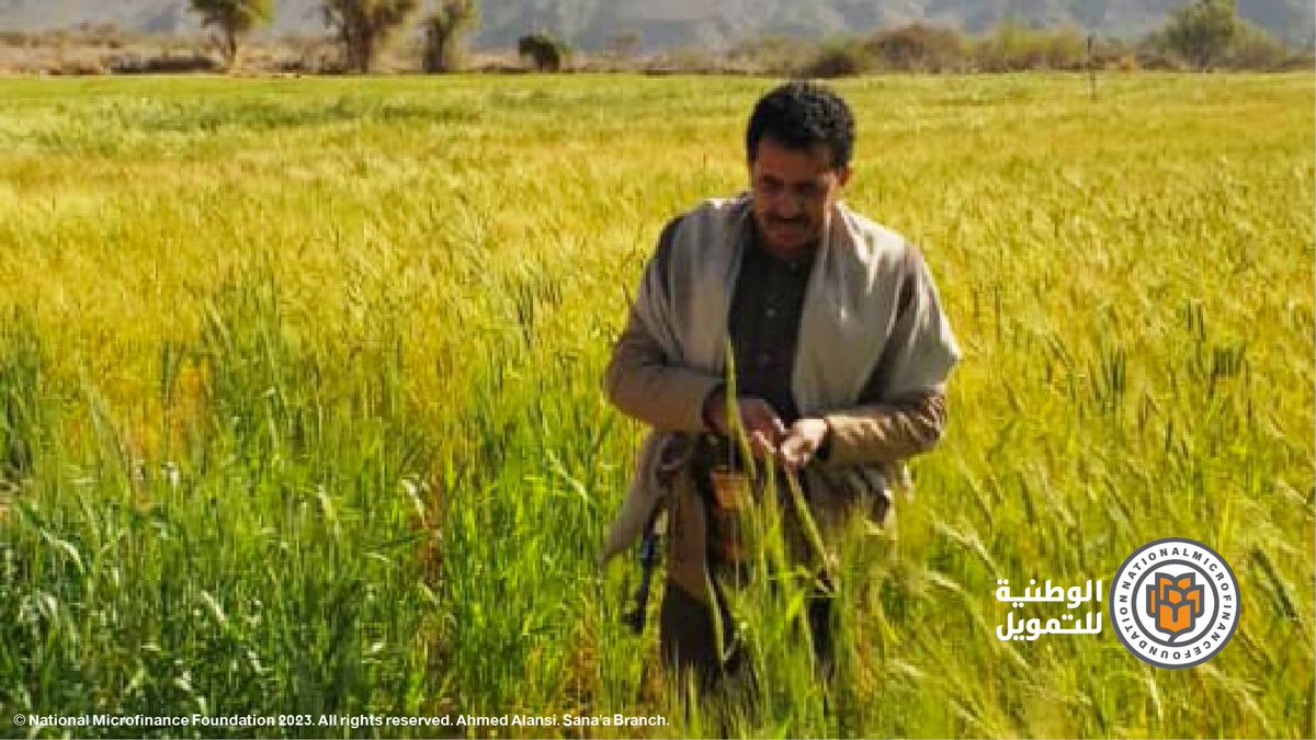 National Microfinance Foundation tweet media