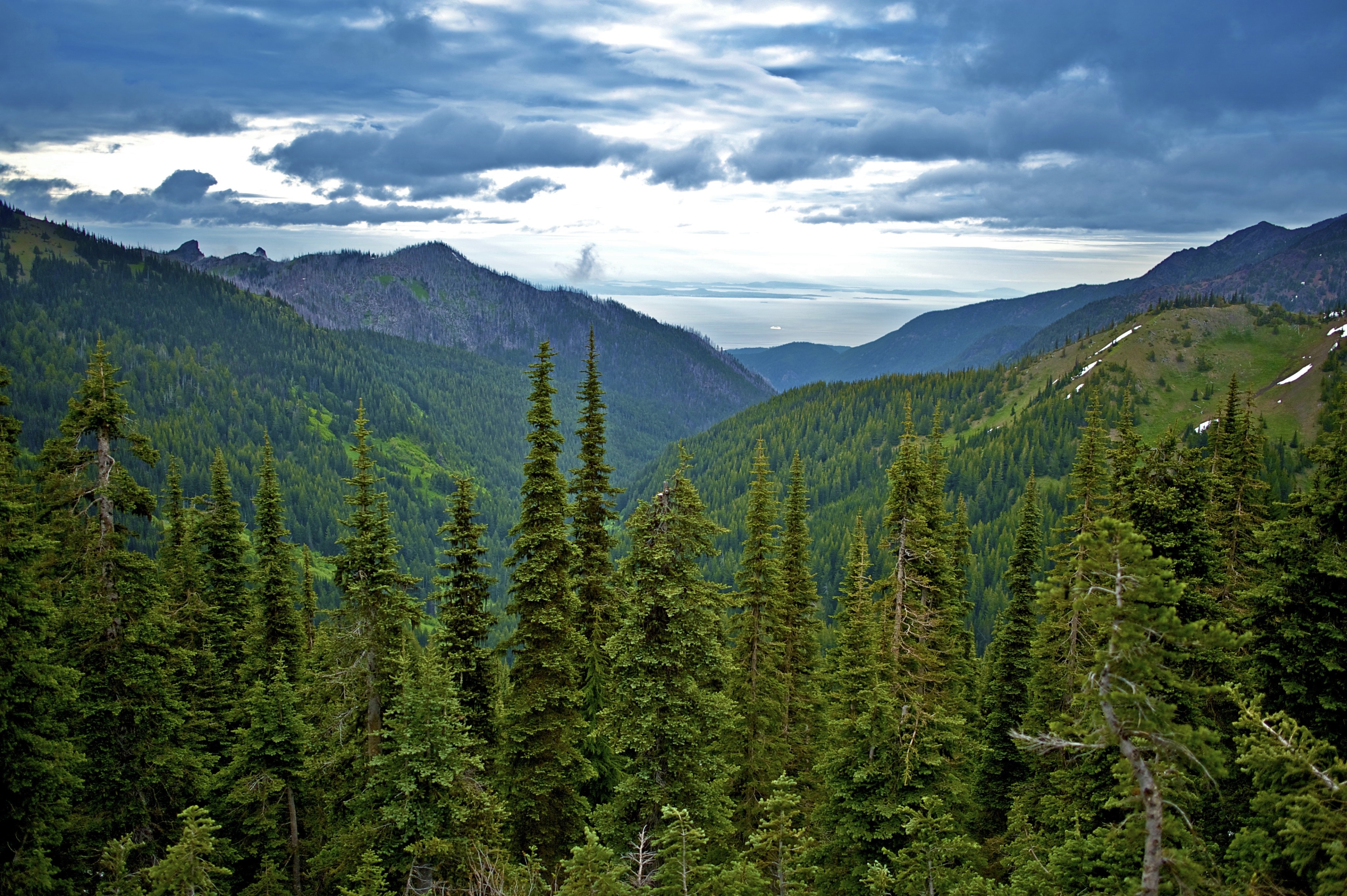 Washington State near the Olympic Peninsula