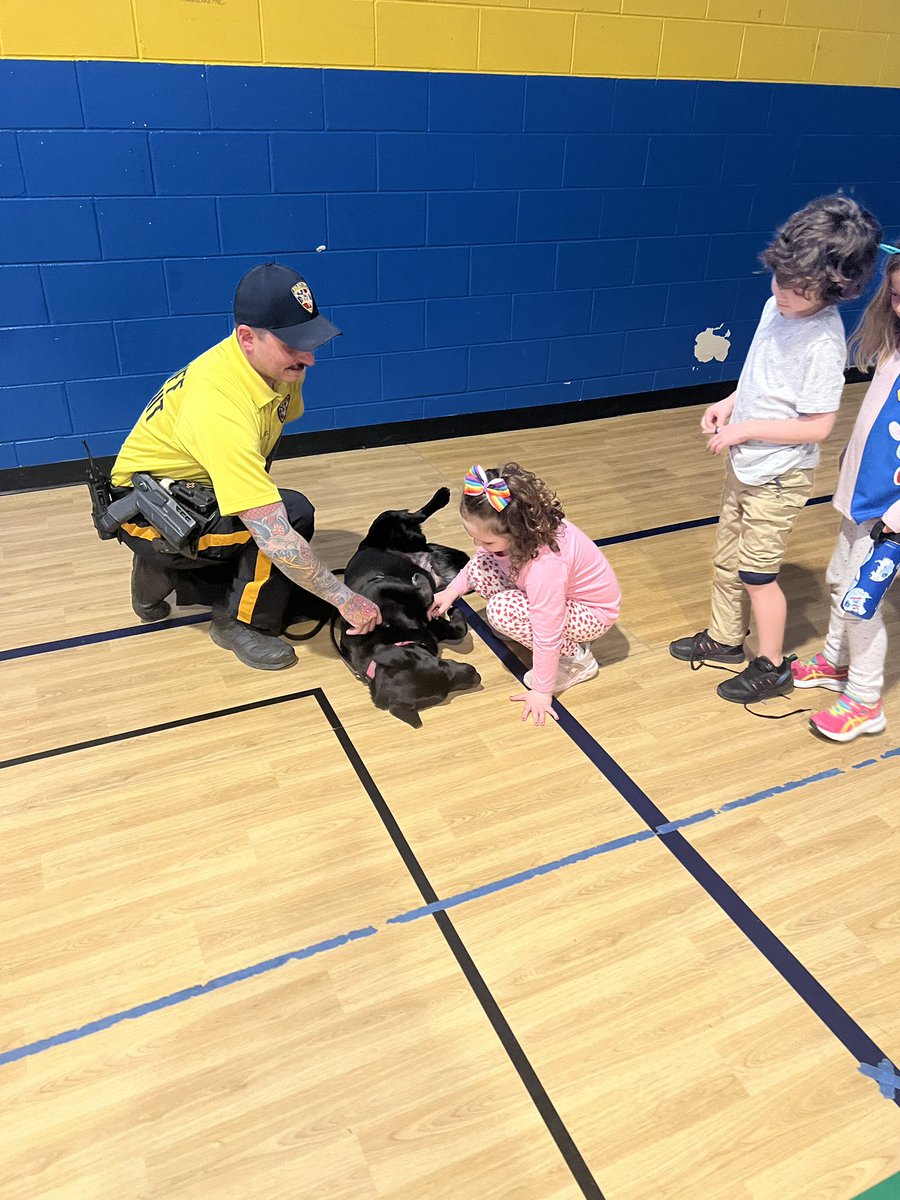 Katy Kokolus tweet media