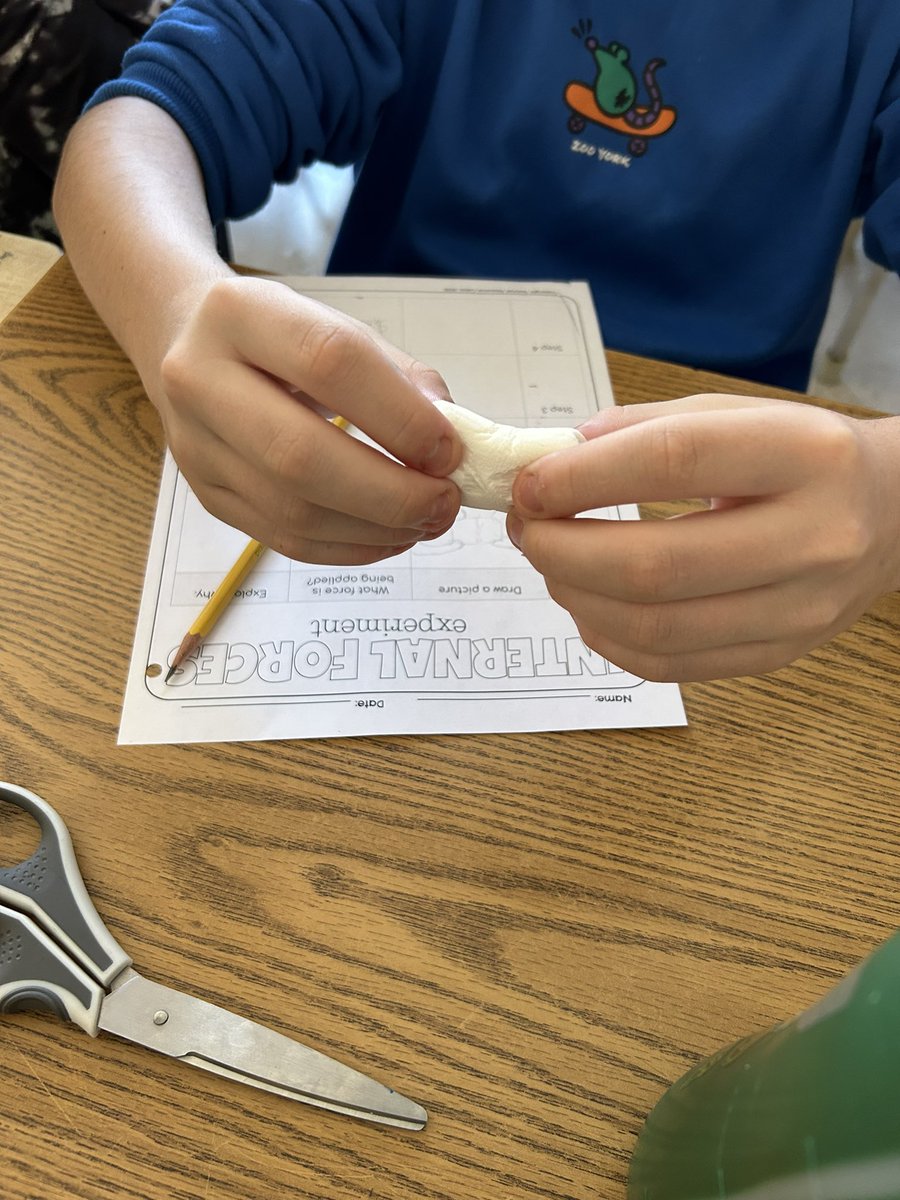 Rachael Cullimore tweet media