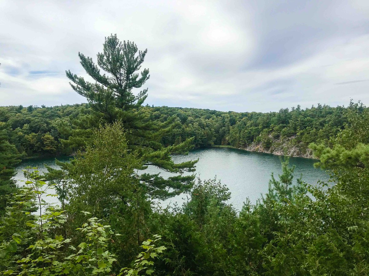 🎙🏞 Des groupes de la région s’unissent pour demander un accès convivial et équitable au Parc de la #Gatineau. Moins de voiture, plus de vélos, des navettes pour le transport collectif...
Communiqué ici 👉 bit.ly/3lWs9Mu
🤝 <a href="/MOBI_O/">MOBI-O</a> <a href="/velooutaouais/">Action vélo Outaouais</a> <a href="/snapqc/">SNAP Québec</a>