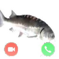 RETWEET to accept
LIKE to decline