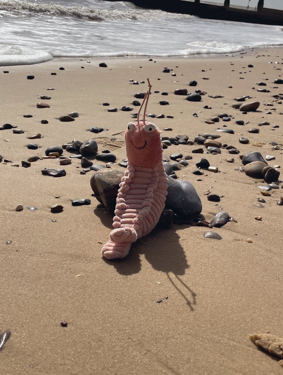 “Call to the sea too great - think I’ll find my family” 

#SeñorGambas will be in detention tomorrow after his behaviour this afternoon.