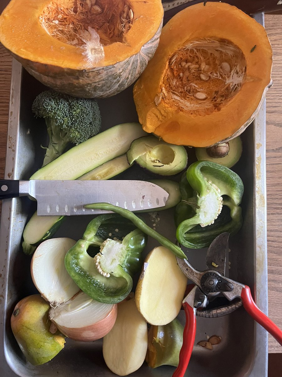 Career highlight: giving a fruit lecture to Ms. Haleigh’s first grade class. They knew all the answers!