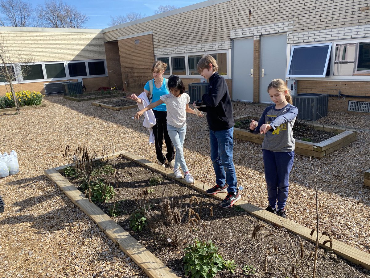 MHKProjectGreen's tweet photo. School grounds are now cleared of accumulated trash and we are all (students and spouting seedlings!) celebrating this sunny day! Our collection of refrigerated seeds are finally done with “fake winter” away from birds &amp; finally sown.  Germinate fast, little friends! @EWRSDK12 https://t.co/HwecNNCK6K