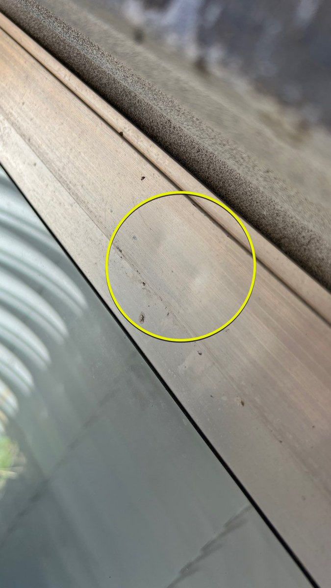 PinnacleWindow's tweet photo. Did ur #WINDOWS + #DOORS get #DAMAGED from #hail? #TollgateCrossing #homes have upgraded glass + noise resistance +  are very costly. OUR #INSURANCE PROCESS:  https://t.co/QnMRD07R6T
 303-747-3698 https://t.co/tIM8GzLbnu
