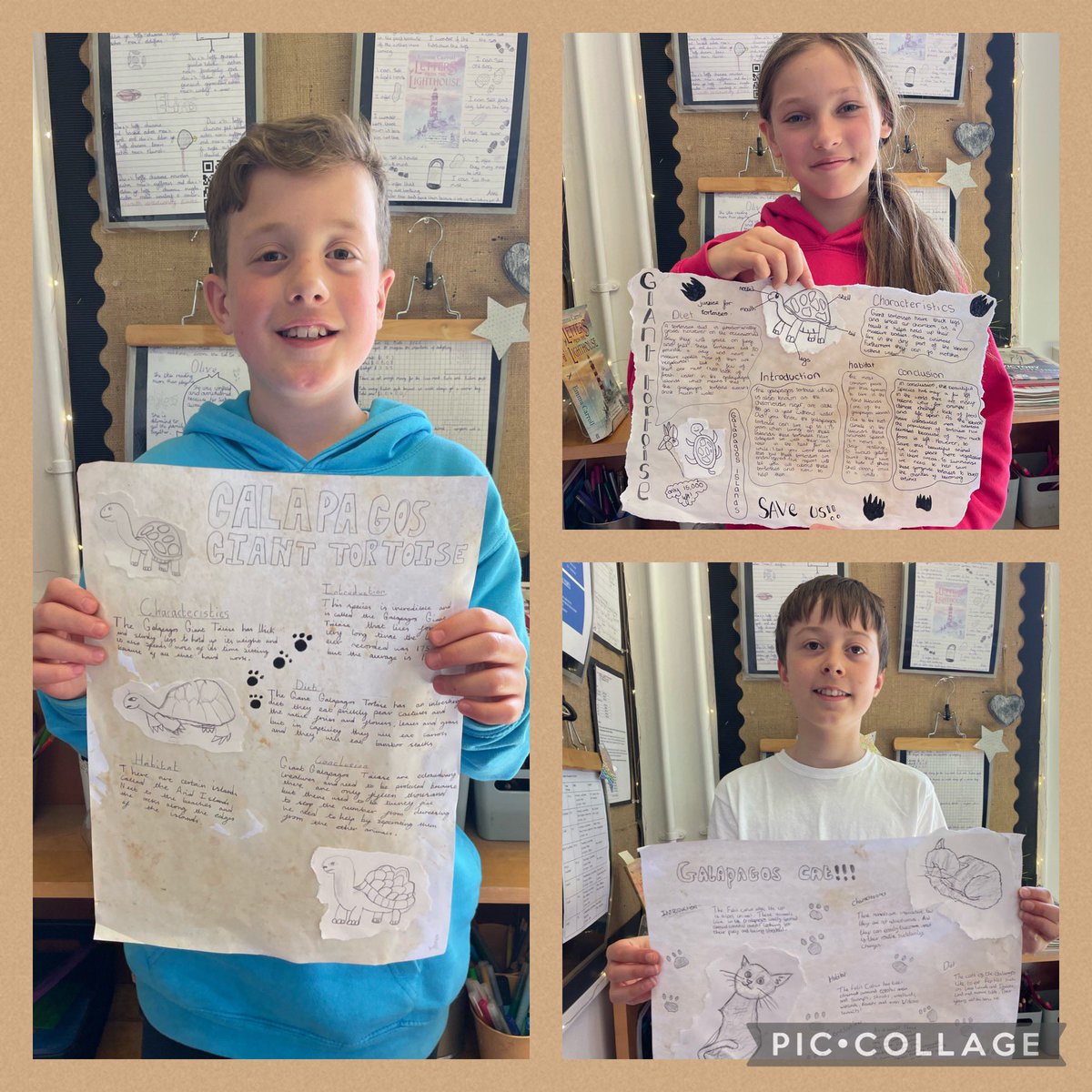 SullyPS's tweet photo. #spsyear6 have been working hard writing non chronological reports on animals from the Galápagos Islands & presenting them in a Darwin inspired format #spsllc #spsscience https://t.co/jp1krKSbjn
