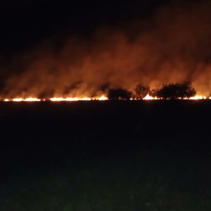 🔥30/03/2023
19:30 hs Salida por Incendio Forestal sobre Ruta 9 acceso Sur a nuestra Localidad, acudió Móvil #01# con 5 Bomberos.
Se trabajo con herramientas manuales, Mochilas pulverizadoras y equipo de ataque rápido.
🔥22:45 dimos por finalizado la tarea.
🔥BVCE🔥