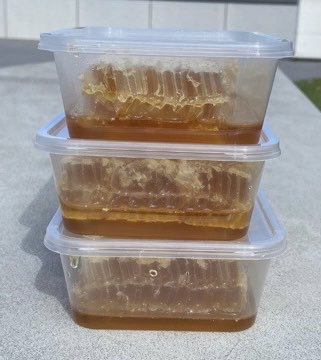 anne_stout's tweet photo. Our first honey from our rooftop bees…I can confirm it is delicious! https://t.co/wJzg2vnpQ0